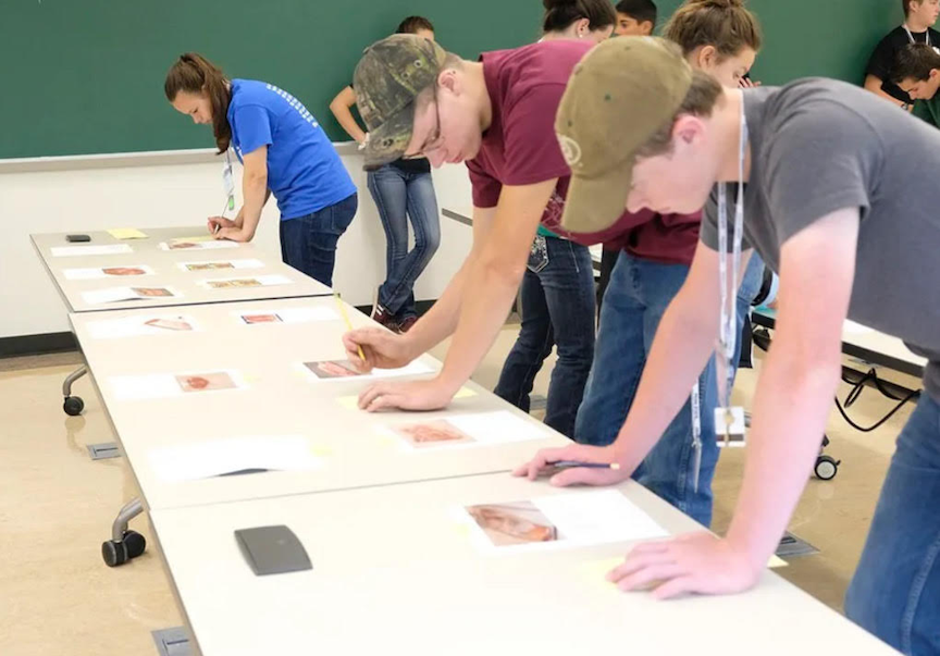 The Highland County Press - Staff Photo - Create Article