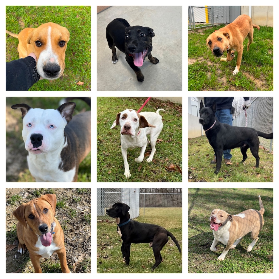 The Highland County Press - Staff Photo - Create Article