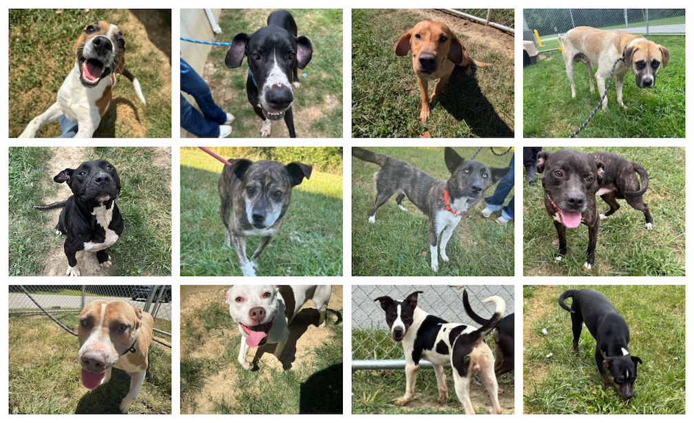 The Highland County Press - Staff Photo - Create Article