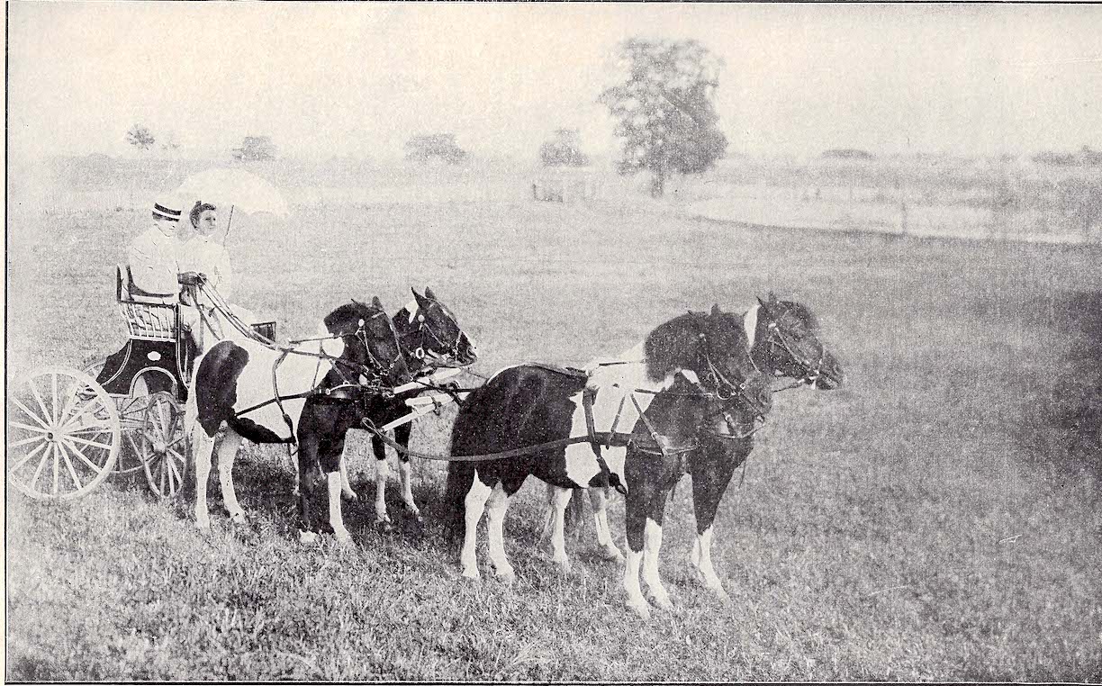 image-20230926062924-1