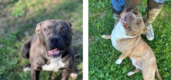 image-20241104130431-7